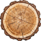 Spruce Timber Logs
